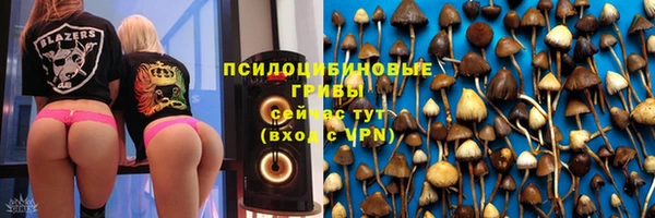 прущие крисы Баксан